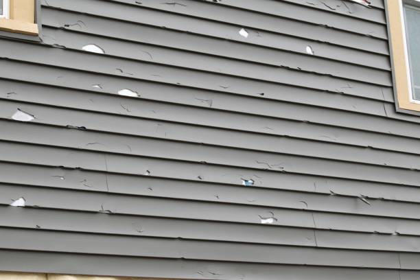 How To Choose The Right Materials for Your Siding Installation in 'Daphne, AL